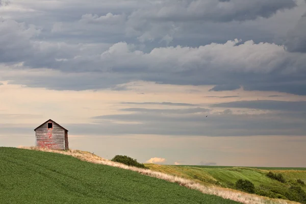 Cielos nublados sobre un viejo granero de Saskatchewan —  Fotos de Stock