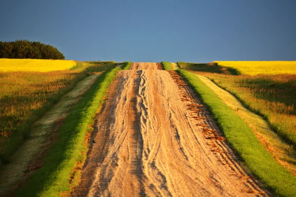 Cores bonitas ao longo de uma estrada Saskatchewan país — Fotografia de Stock