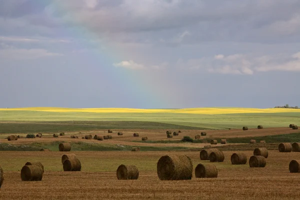 風光明媚なサスカチュワンの干し草の後ろに虹 — ストック写真
