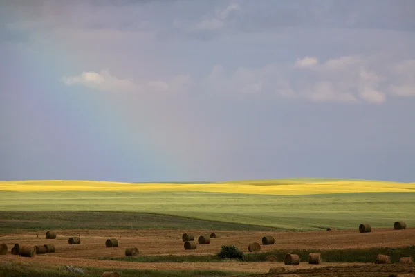 Arcobaleno dietro balle di fieno in scenico Saskatchewan — Foto Stock