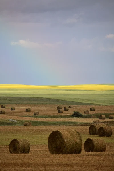 Arco-íris atrás de fardos de feno em Saskatchewan cênica — Fotografia de Stock