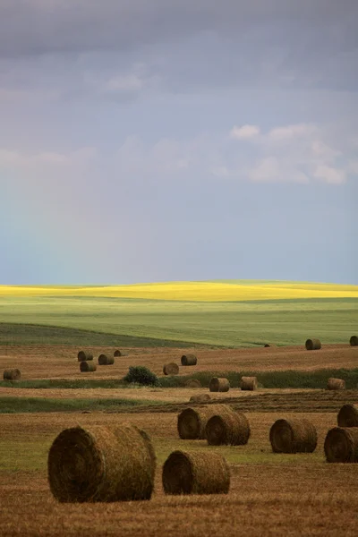 Rainbow behind hay bales in scenic Saskatchewan — Stock Photo, Image