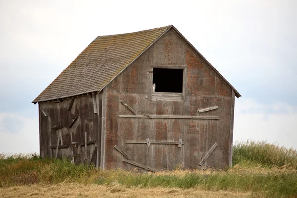 Búho en ventana de granero viejo en Saskatchewan escénico —  Fotos de Stock