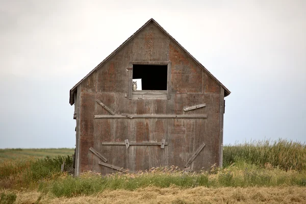 風光明媚なサスカチュワン州の古い穀倉のウィンドウ内のフクロウ — ストック写真