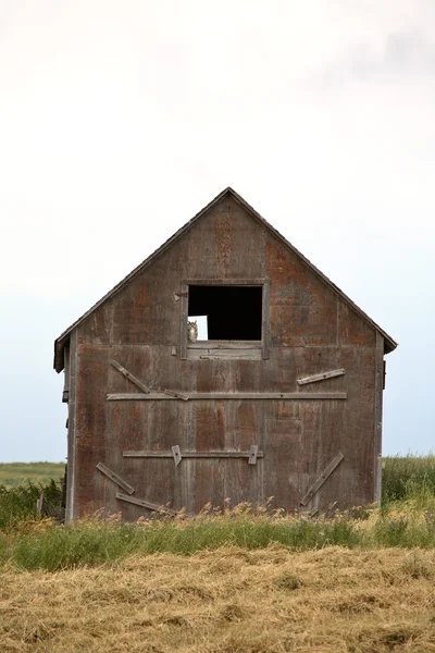 Baykuş doğal saskatchewan içinde eski tahıl ambarı penceresinde — Stok fotoğraf