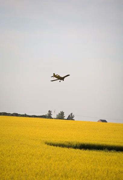 stock image Cropduster airplane making turn to spray a Saskatchewan field