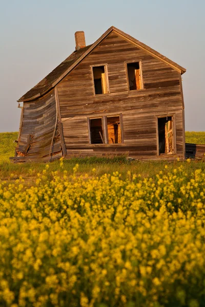 風光明媚なサスカチュワンの風化の古いファームハウス — ストック写真