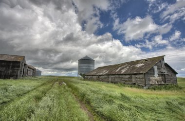 terk edilmiş çiftlik