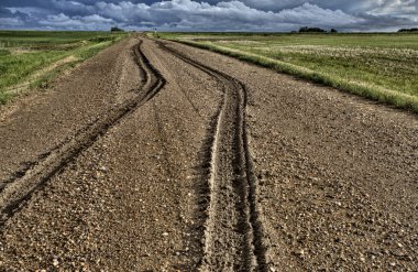 Mud Tire Tracks clipart