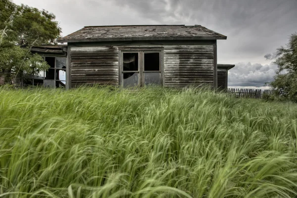 Terk edilmiş çiftlik — Stok fotoğraf