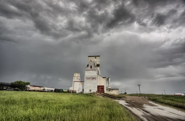 Élévateur de grain des Prairies — Photo