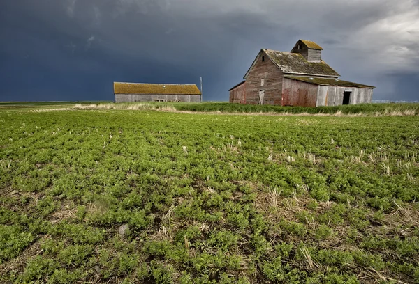 Opuštěné farmy — Stock fotografie