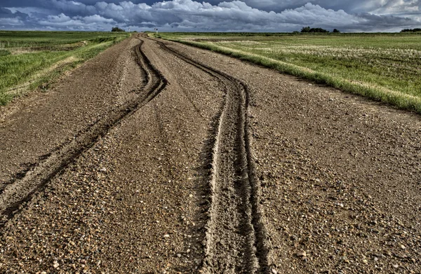 stock image Mud Tire Tracks