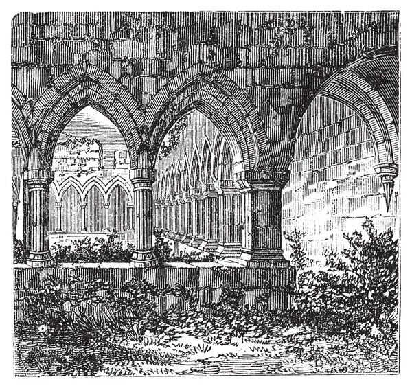 Claustro gótico y arco en la Abadía de Kilconnel, en el Condado de Galway , — Archivo Imágenes Vectoriales