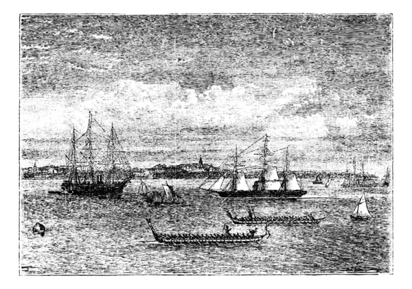 Оклендская гавань в винтажной гравюре 1890-х годов, Новая Зеландия — стоковый вектор