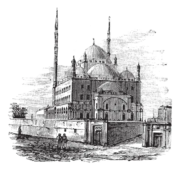 Ca の城塞で、ムハンマド ・ アリやアラバスター モスクのモスク — ストックベクタ
