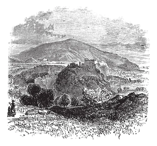 Vista del campo de Castellammare di Stabia grabado vintage — Archivo Imágenes Vectoriales