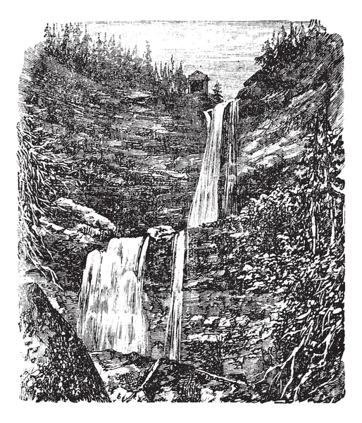 Catskill або Kaaterskill водоспад vintage гравіювання — стоковий вектор