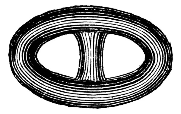 Связь в цепи Brunton или Катена винтажная гравировка — стоковый вектор