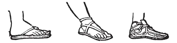 Sandal antika gravür — Stok Vektör