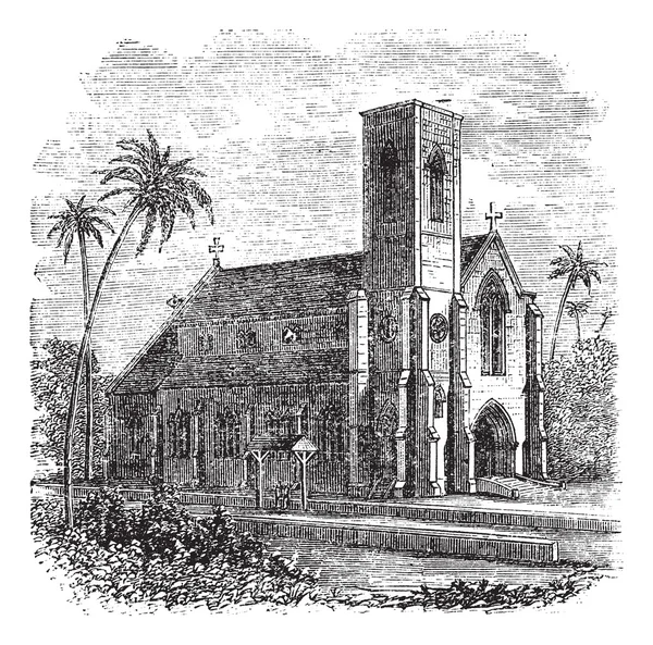 Saint lucia Katedrali, colombo, sri lanka, antika gravür — Stok Vektör