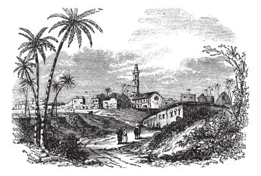 Gaza or Gaza City in Palestine vintage engraving clipart