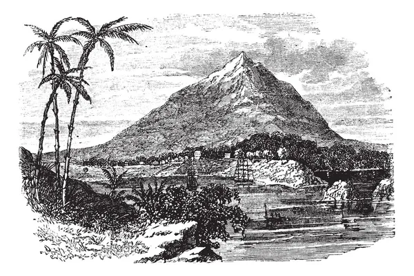 Pico Basile in Bioko Island, República da Guiné Equatorial, vint — Vetor de Stock