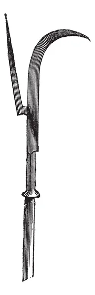 Halberd, halbert или Swiss voulge — стоковый вектор