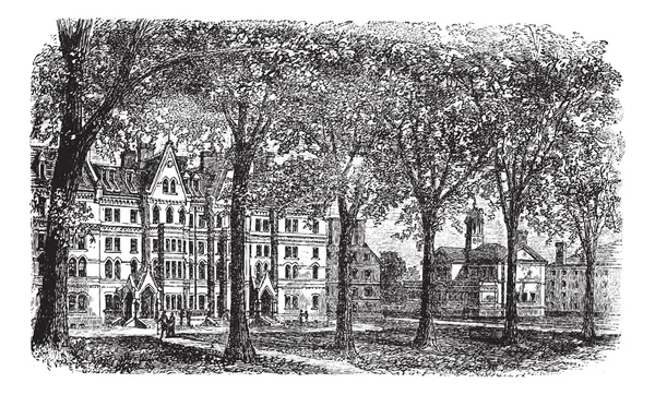 Harvard University, Cambridge, Massachusetts gravure vintage — Image vectorielle