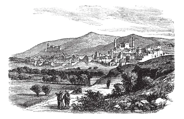 Krásný pohled budov a hory v Hebronu vintage engra — Stockový vektor