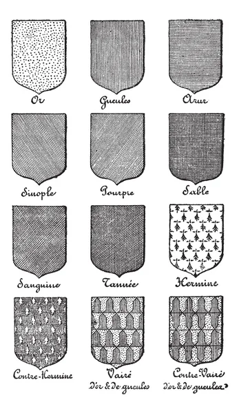 Разнообразие эмалей предприятия, используемых в геральдической гравировке — стоковый вектор