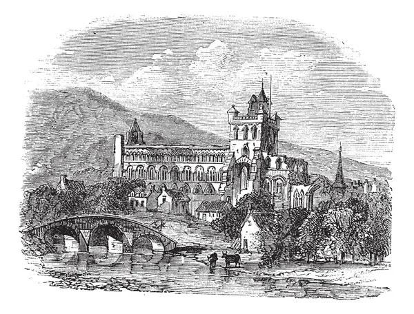 Джедбургское аббатство в Шотландии — стоковый вектор