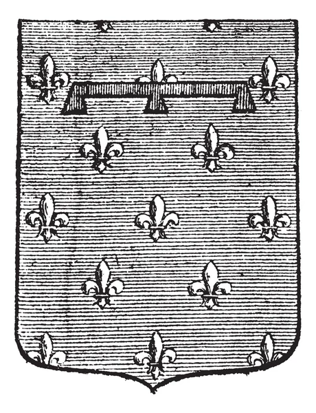 Vintage gravírování štítků (heraldika) — Stockový vektor