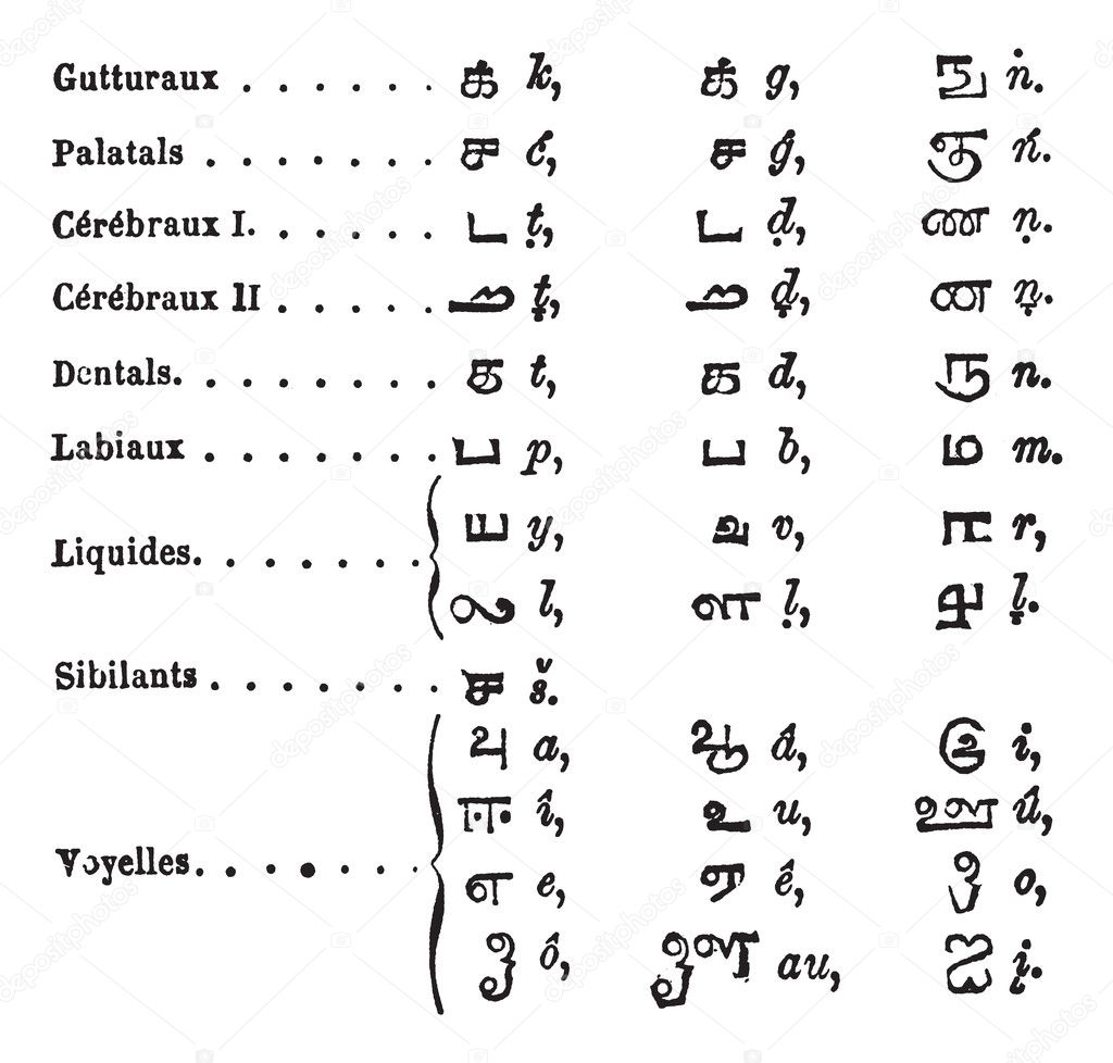 Tamil language Alphabets vintage engraving