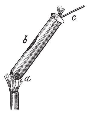 Separation of Mercuric Oxide into Mercury and Oxygen, vintage en clipart