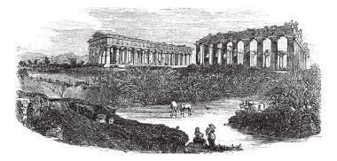 The ruins of temples at Paestum in Campania Italy vintage engrav clipart