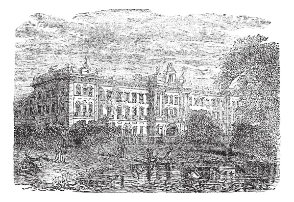白金汉宫或在伦敦的白金汉房子英格兰复古 — 图库矢量图片