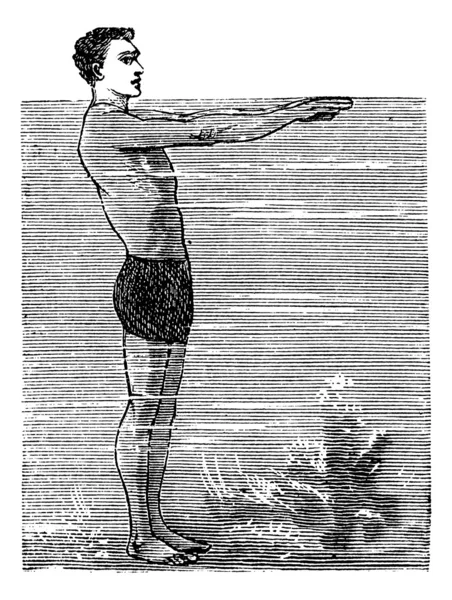 Pechuga, segunda posición, ilustración grabada vintage — Archivo Imágenes Vectoriales