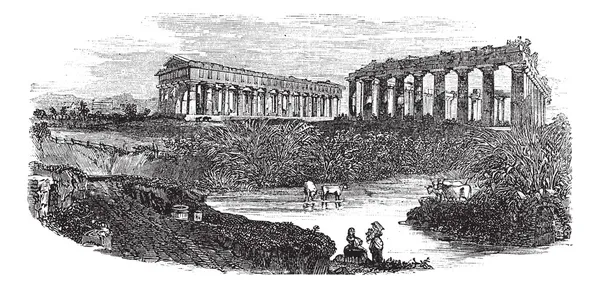 Le rovine dei templi a Paestum in Campania Italia vintage engrav — Vettoriale Stock