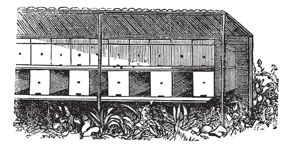 Apiary or Bee yard vintage engraving — Stock Vector