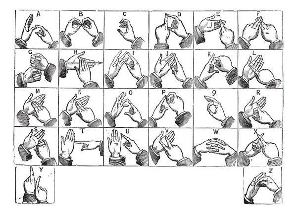 両手の指文字ビンテージ彫刻 — ストックベクタ