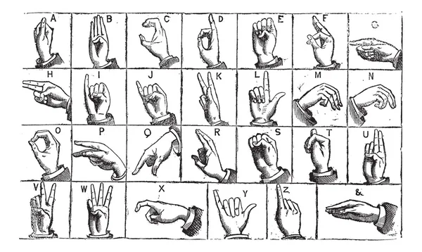 Jedną ręką alfabetów ręczne Grawerowanie rocznika — Wektor stockowy