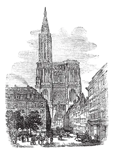 Cattedrale di Strasburgo o Cattedrale di Nostra Signora di Strasburgo a S — Vettoriale Stock