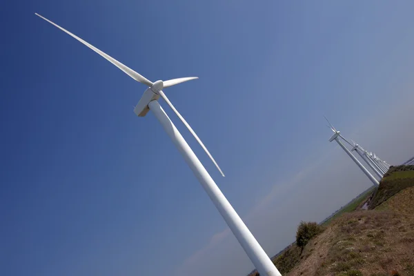 Выровненная ветряная турбина — стоковое фото