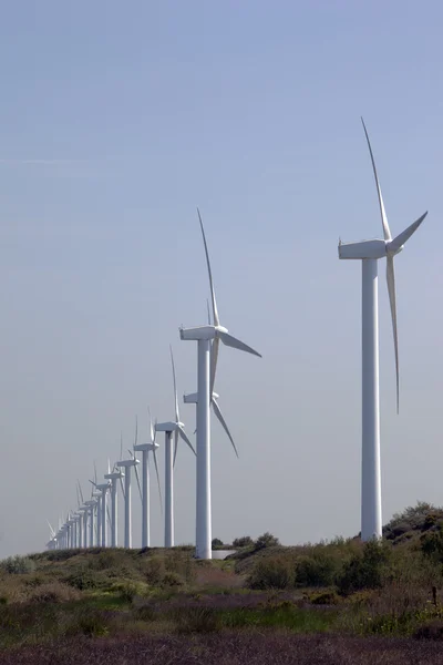 Turbina eólica alinhada — Fotografia de Stock