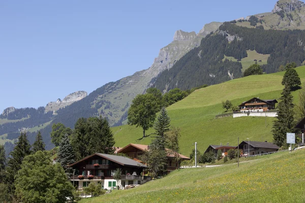 在阿尔卑斯山的瑞士木屋 — 图库照片