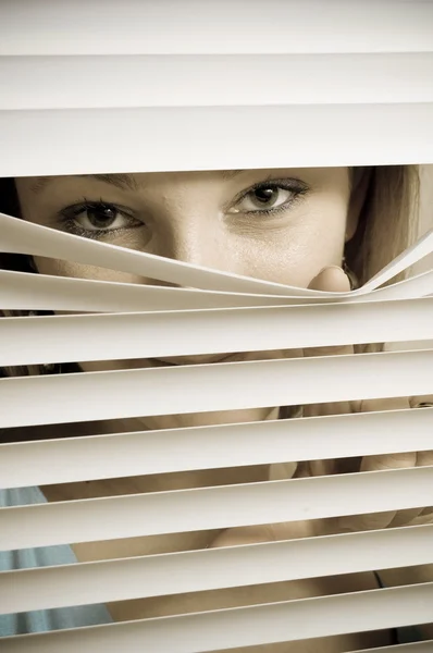 stock image Looking Through the Shutters