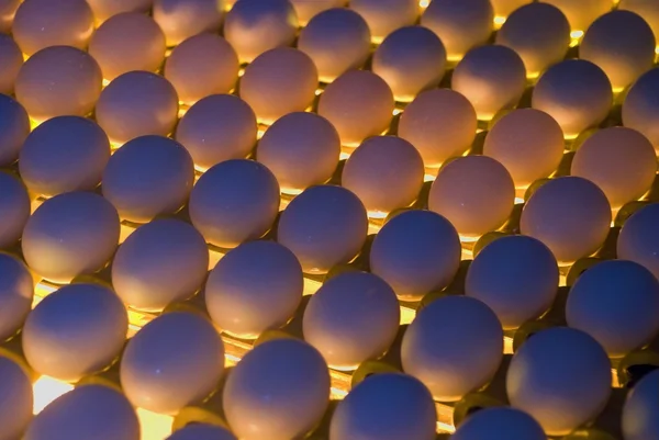 Egg Factory - Kontrol Kualitas dengan menyalakan — Stok Foto