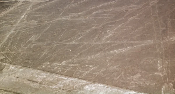 Czapla ptaków i inne linie nazca — Zdjęcie stockowe