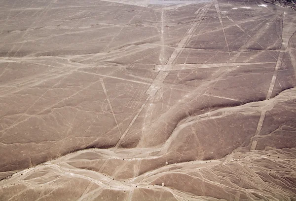 Nazca lijnen parrot en verschillende driehoeken Stockfoto